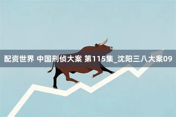 配资世界 中国刑侦大案 第115集_沈阳三八大案09