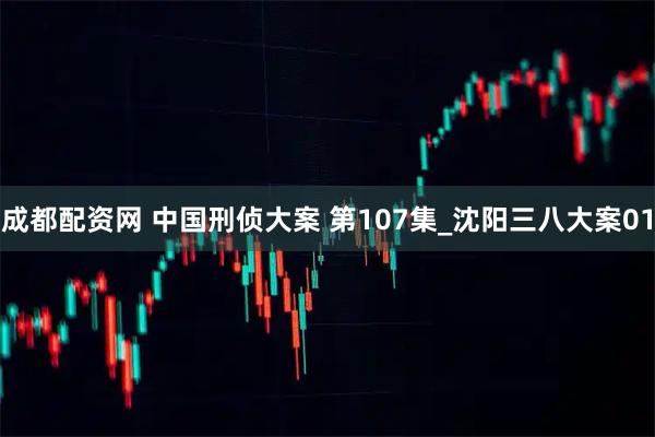 成都配资网 中国刑侦大案 第107集_沈阳三八大案01
