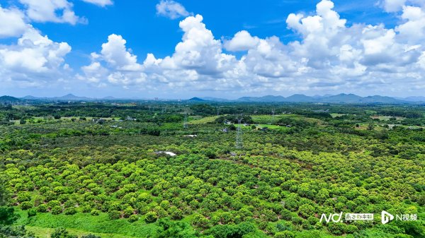 成都配资网 纳入财政预算！阳西县“媒体+”赋能“百千万工程”这样行动