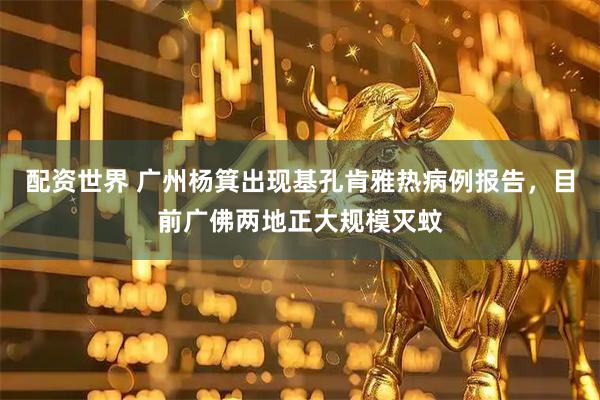 配资世界 广州杨箕出现基孔肯雅热病例报告,目前广佛两地正大规模灭蚊